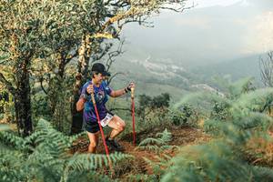 BIB: 
                            <button type="button" onclick="openModal(25334561)" class="btn btn-primary btn-sm float-right btn-popup" data-toggle="modal" data-target=".modal-high-quality">
                        <i class="fas fa-shopping-cart"></i> Add to Cart
                    </button>
                                            <button type="button" onclick="isThisMe(25334561, true)" class="btn btn-success btn-sm float-right btn-popup btn-isme hidden" data-toggle="tooltip" data-placement="bottom" title="นี่คือรูปของคุณใช่ไหม คลิกที่นี่เพื่อเอาเข้าอัลบั้ม">
                        <i class="fas fa-plus"></i> Add to album
                    </button>
                    <button type="button" onclick="isThisMe(25334561, false)" class="btn btn-warning btn-sm float-right btn-popup btn-isnotme hidden">
                        <i class="fas fa-ban"></i> Remove from album
                    </button>