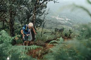 BIB: 
                            <button type="button" onclick="openModal(25334342)" class="btn btn-primary btn-sm float-right btn-popup" data-toggle="modal" data-target=".modal-high-quality">
                        <i class="fas fa-shopping-cart"></i> Add to Cart
                    </button>
                                            <button type="button" onclick="isThisMe(25334342, true)" class="btn btn-success btn-sm float-right btn-popup btn-isme hidden" data-toggle="tooltip" data-placement="bottom" title="นี่คือรูปของคุณใช่ไหม คลิกที่นี่เพื่อเอาเข้าอัลบั้ม">
                        <i class="fas fa-plus"></i> Add to album
                    </button>
                    <button type="button" onclick="isThisMe(25334342, false)" class="btn btn-warning btn-sm float-right btn-popup btn-isnotme hidden">
                        <i class="fas fa-ban"></i> Remove from album
                    </button>