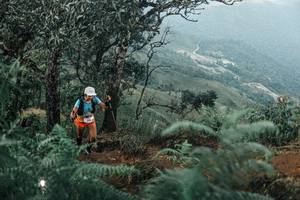 BIB: 
                            <button type="button" onclick="openModal(25333743)" class="btn btn-primary btn-sm float-right btn-popup" data-toggle="modal" data-target=".modal-high-quality">
                        <i class="fas fa-shopping-cart"></i> Add to Cart
                    </button>
                                            <button type="button" onclick="isThisMe(25333743, true)" class="btn btn-success btn-sm float-right btn-popup btn-isme hidden" data-toggle="tooltip" data-placement="bottom" title="นี่คือรูปของคุณใช่ไหม คลิกที่นี่เพื่อเอาเข้าอัลบั้ม">
                        <i class="fas fa-plus"></i> Add to album
                    </button>
                    <button type="button" onclick="isThisMe(25333743, false)" class="btn btn-warning btn-sm float-right btn-popup btn-isnotme hidden">
                        <i class="fas fa-ban"></i> Remove from album
                    </button>