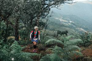 BIB: 
                            <button type="button" onclick="openModal(25333721)" class="btn btn-primary btn-sm float-right btn-popup" data-toggle="modal" data-target=".modal-high-quality">
                        <i class="fas fa-shopping-cart"></i> Add to Cart
                    </button>
                                            <button type="button" onclick="isThisMe(25333721, true)" class="btn btn-success btn-sm float-right btn-popup btn-isme hidden" data-toggle="tooltip" data-placement="bottom" title="นี่คือรูปของคุณใช่ไหม คลิกที่นี่เพื่อเอาเข้าอัลบั้ม">
                        <i class="fas fa-plus"></i> Add to album
                    </button>
                    <button type="button" onclick="isThisMe(25333721, false)" class="btn btn-warning btn-sm float-right btn-popup btn-isnotme hidden">
                        <i class="fas fa-ban"></i> Remove from album
                    </button>