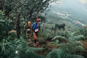 BIB: 
                            <button type="button" onclick="openModal(25333687)" class="btn btn-primary btn-sm float-right btn-popup" data-toggle="modal" data-target=".modal-high-quality">
                        <i class="fas fa-shopping-cart"></i> Add to Cart
                    </button>
                                            <button type="button" onclick="isThisMe(25333687, true)" class="btn btn-success btn-sm float-right btn-popup btn-isme hidden" data-toggle="tooltip" data-placement="bottom" title="นี่คือรูปของคุณใช่ไหม คลิกที่นี่เพื่อเอาเข้าอัลบั้ม">
                        <i class="fas fa-plus"></i> Add to album
                    </button>
                    <button type="button" onclick="isThisMe(25333687, false)" class="btn btn-warning btn-sm float-right btn-popup btn-isnotme hidden">
                        <i class="fas fa-ban"></i> Remove from album
                    </button>