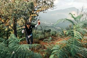 BIB: 
                            <button type="button" onclick="openModal(25334540)" class="btn btn-primary btn-sm float-right btn-popup" data-toggle="modal" data-target=".modal-high-quality">
                        <i class="fas fa-shopping-cart"></i> Add to Cart
                    </button>
                                            <button type="button" onclick="isThisMe(25334540, true)" class="btn btn-success btn-sm float-right btn-popup btn-isme hidden" data-toggle="tooltip" data-placement="bottom" title="นี่คือรูปของคุณใช่ไหม คลิกที่นี่เพื่อเอาเข้าอัลบั้ม">
                        <i class="fas fa-plus"></i> Add to album
                    </button>
                    <button type="button" onclick="isThisMe(25334540, false)" class="btn btn-warning btn-sm float-right btn-popup btn-isnotme hidden">
                        <i class="fas fa-ban"></i> Remove from album
                    </button>