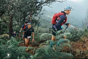 BIB: 
                            <button type="button" onclick="openModal(25333851)" class="btn btn-primary btn-sm float-right btn-popup" data-toggle="modal" data-target=".modal-high-quality">
                        <i class="fas fa-shopping-cart"></i> Add to Cart
                    </button>
                                            <button type="button" onclick="isThisMe(25333851, true)" class="btn btn-success btn-sm float-right btn-popup btn-isme hidden" data-toggle="tooltip" data-placement="bottom" title="นี่คือรูปของคุณใช่ไหม คลิกที่นี่เพื่อเอาเข้าอัลบั้ม">
                        <i class="fas fa-plus"></i> Add to album
                    </button>
                    <button type="button" onclick="isThisMe(25333851, false)" class="btn btn-warning btn-sm float-right btn-popup btn-isnotme hidden">
                        <i class="fas fa-ban"></i> Remove from album
                    </button>