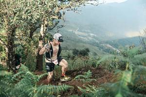 BIB: 
                            <button type="button" onclick="openModal(25334112)" class="btn btn-primary btn-sm float-right btn-popup" data-toggle="modal" data-target=".modal-high-quality">
                        <i class="fas fa-shopping-cart"></i> Add to Cart
                    </button>
                                            <button type="button" onclick="isThisMe(25334112, true)" class="btn btn-success btn-sm float-right btn-popup btn-isme hidden" data-toggle="tooltip" data-placement="bottom" title="นี่คือรูปของคุณใช่ไหม คลิกที่นี่เพื่อเอาเข้าอัลบั้ม">
                        <i class="fas fa-plus"></i> Add to album
                    </button>
                    <button type="button" onclick="isThisMe(25334112, false)" class="btn btn-warning btn-sm float-right btn-popup btn-isnotme hidden">
                        <i class="fas fa-ban"></i> Remove from album
                    </button>