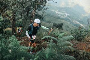 BIB: 
                            <button type="button" onclick="openModal(25333580)" class="btn btn-primary btn-sm float-right btn-popup" data-toggle="modal" data-target=".modal-high-quality">
                        <i class="fas fa-shopping-cart"></i> Add to Cart
                    </button>
                                            <button type="button" onclick="isThisMe(25333580, true)" class="btn btn-success btn-sm float-right btn-popup btn-isme hidden" data-toggle="tooltip" data-placement="bottom" title="นี่คือรูปของคุณใช่ไหม คลิกที่นี่เพื่อเอาเข้าอัลบั้ม">
                        <i class="fas fa-plus"></i> Add to album
                    </button>
                    <button type="button" onclick="isThisMe(25333580, false)" class="btn btn-warning btn-sm float-right btn-popup btn-isnotme hidden">
                        <i class="fas fa-ban"></i> Remove from album
                    </button>