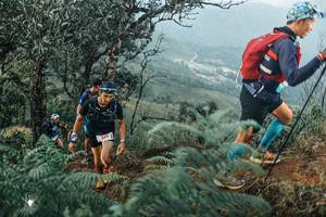 BIB: 
                            <button type="button" onclick="openModal(25333856)" class="btn btn-primary btn-sm float-right btn-popup" data-toggle="modal" data-target=".modal-high-quality">
                        <i class="fas fa-shopping-cart"></i> Add to Cart
                    </button>
                                            <button type="button" onclick="isThisMe(25333856, true)" class="btn btn-success btn-sm float-right btn-popup btn-isme hidden" data-toggle="tooltip" data-placement="bottom" title="นี่คือรูปของคุณใช่ไหม คลิกที่นี่เพื่อเอาเข้าอัลบั้ม">
                        <i class="fas fa-plus"></i> Add to album
                    </button>
                    <button type="button" onclick="isThisMe(25333856, false)" class="btn btn-warning btn-sm float-right btn-popup btn-isnotme hidden">
                        <i class="fas fa-ban"></i> Remove from album
                    </button>