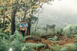 BIB: 
                            <button type="button" onclick="openModal(25334636)" class="btn btn-primary btn-sm float-right btn-popup" data-toggle="modal" data-target=".modal-high-quality">
                        <i class="fas fa-shopping-cart"></i> Add to Cart
                    </button>
                                            <button type="button" onclick="isThisMe(25334636, true)" class="btn btn-success btn-sm float-right btn-popup btn-isme hidden" data-toggle="tooltip" data-placement="bottom" title="นี่คือรูปของคุณใช่ไหม คลิกที่นี่เพื่อเอาเข้าอัลบั้ม">
                        <i class="fas fa-plus"></i> Add to album
                    </button>
                    <button type="button" onclick="isThisMe(25334636, false)" class="btn btn-warning btn-sm float-right btn-popup btn-isnotme hidden">
                        <i class="fas fa-ban"></i> Remove from album
                    </button>