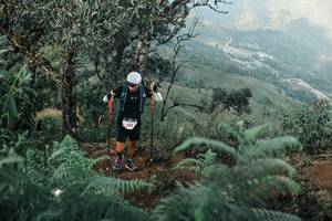 BIB: 
                            <button type="button" onclick="openModal(25333577)" class="btn btn-primary btn-sm float-right btn-popup" data-toggle="modal" data-target=".modal-high-quality">
                        <i class="fas fa-shopping-cart"></i> Add to Cart
                    </button>
                                            <button type="button" onclick="isThisMe(25333577, true)" class="btn btn-success btn-sm float-right btn-popup btn-isme hidden" data-toggle="tooltip" data-placement="bottom" title="นี่คือรูปของคุณใช่ไหม คลิกที่นี่เพื่อเอาเข้าอัลบั้ม">
                        <i class="fas fa-plus"></i> Add to album
                    </button>
                    <button type="button" onclick="isThisMe(25333577, false)" class="btn btn-warning btn-sm float-right btn-popup btn-isnotme hidden">
                        <i class="fas fa-ban"></i> Remove from album
                    </button>