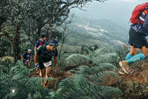 BIB: 
                            <button type="button" onclick="openModal(25333860)" class="btn btn-primary btn-sm float-right btn-popup" data-toggle="modal" data-target=".modal-high-quality">
                        <i class="fas fa-shopping-cart"></i> Add to Cart
                    </button>
                                            <button type="button" onclick="isThisMe(25333860, true)" class="btn btn-success btn-sm float-right btn-popup btn-isme hidden" data-toggle="tooltip" data-placement="bottom" title="นี่คือรูปของคุณใช่ไหม คลิกที่นี่เพื่อเอาเข้าอัลบั้ม">
                        <i class="fas fa-plus"></i> Add to album
                    </button>
                    <button type="button" onclick="isThisMe(25333860, false)" class="btn btn-warning btn-sm float-right btn-popup btn-isnotme hidden">
                        <i class="fas fa-ban"></i> Remove from album
                    </button>