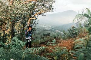 BIB: 
                            <button type="button" onclick="openModal(25334441)" class="btn btn-primary btn-sm float-right btn-popup" data-toggle="modal" data-target=".modal-high-quality">
                        <i class="fas fa-shopping-cart"></i> Add to Cart
                    </button>
                                            <button type="button" onclick="isThisMe(25334441, true)" class="btn btn-success btn-sm float-right btn-popup btn-isme hidden" data-toggle="tooltip" data-placement="bottom" title="นี่คือรูปของคุณใช่ไหม คลิกที่นี่เพื่อเอาเข้าอัลบั้ม">
                        <i class="fas fa-plus"></i> Add to album
                    </button>
                    <button type="button" onclick="isThisMe(25334441, false)" class="btn btn-warning btn-sm float-right btn-popup btn-isnotme hidden">
                        <i class="fas fa-ban"></i> Remove from album
                    </button>