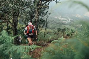 BIB: 
                            <button type="button" onclick="openModal(25334252)" class="btn btn-primary btn-sm float-right btn-popup" data-toggle="modal" data-target=".modal-high-quality">
                        <i class="fas fa-shopping-cart"></i> Add to Cart
                    </button>
                                            <button type="button" onclick="isThisMe(25334252, true)" class="btn btn-success btn-sm float-right btn-popup btn-isme hidden" data-toggle="tooltip" data-placement="bottom" title="นี่คือรูปของคุณใช่ไหม คลิกที่นี่เพื่อเอาเข้าอัลบั้ม">
                        <i class="fas fa-plus"></i> Add to album
                    </button>
                    <button type="button" onclick="isThisMe(25334252, false)" class="btn btn-warning btn-sm float-right btn-popup btn-isnotme hidden">
                        <i class="fas fa-ban"></i> Remove from album
                    </button>