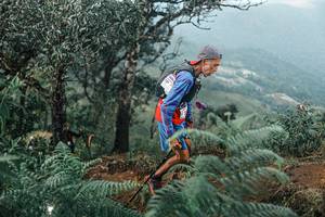 BIB: 
                            <button type="button" onclick="openModal(25333827)" class="btn btn-primary btn-sm float-right btn-popup" data-toggle="modal" data-target=".modal-high-quality">
                        <i class="fas fa-shopping-cart"></i> Add to Cart
                    </button>
                                            <button type="button" onclick="isThisMe(25333827, true)" class="btn btn-success btn-sm float-right btn-popup btn-isme hidden" data-toggle="tooltip" data-placement="bottom" title="นี่คือรูปของคุณใช่ไหม คลิกที่นี่เพื่อเอาเข้าอัลบั้ม">
                        <i class="fas fa-plus"></i> Add to album
                    </button>
                    <button type="button" onclick="isThisMe(25333827, false)" class="btn btn-warning btn-sm float-right btn-popup btn-isnotme hidden">
                        <i class="fas fa-ban"></i> Remove from album
                    </button>