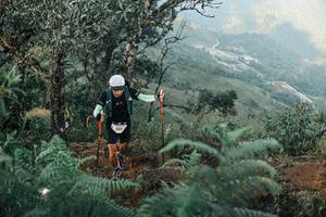 BIB: 
                            <button type="button" onclick="openModal(25333579)" class="btn btn-primary btn-sm float-right btn-popup" data-toggle="modal" data-target=".modal-high-quality">
                        <i class="fas fa-shopping-cart"></i> Add to Cart
                    </button>
                                            <button type="button" onclick="isThisMe(25333579, true)" class="btn btn-success btn-sm float-right btn-popup btn-isme hidden" data-toggle="tooltip" data-placement="bottom" title="นี่คือรูปของคุณใช่ไหม คลิกที่นี่เพื่อเอาเข้าอัลบั้ม">
                        <i class="fas fa-plus"></i> Add to album
                    </button>
                    <button type="button" onclick="isThisMe(25333579, false)" class="btn btn-warning btn-sm float-right btn-popup btn-isnotme hidden">
                        <i class="fas fa-ban"></i> Remove from album
                    </button>