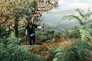 BIB: 
                            <button type="button" onclick="openModal(25334532)" class="btn btn-primary btn-sm float-right btn-popup" data-toggle="modal" data-target=".modal-high-quality">
                        <i class="fas fa-shopping-cart"></i> Add to Cart
                    </button>
                                            <button type="button" onclick="isThisMe(25334532, true)" class="btn btn-success btn-sm float-right btn-popup btn-isme hidden" data-toggle="tooltip" data-placement="bottom" title="นี่คือรูปของคุณใช่ไหม คลิกที่นี่เพื่อเอาเข้าอัลบั้ม">
                        <i class="fas fa-plus"></i> Add to album
                    </button>
                    <button type="button" onclick="isThisMe(25334532, false)" class="btn btn-warning btn-sm float-right btn-popup btn-isnotme hidden">
                        <i class="fas fa-ban"></i> Remove from album
                    </button>