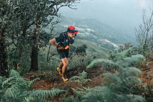 BIB: 
                            <button type="button" onclick="openModal(25333948)" class="btn btn-primary btn-sm float-right btn-popup" data-toggle="modal" data-target=".modal-high-quality">
                        <i class="fas fa-shopping-cart"></i> Add to Cart
                    </button>
                                            <button type="button" onclick="isThisMe(25333948, true)" class="btn btn-success btn-sm float-right btn-popup btn-isme hidden" data-toggle="tooltip" data-placement="bottom" title="นี่คือรูปของคุณใช่ไหม คลิกที่นี่เพื่อเอาเข้าอัลบั้ม">
                        <i class="fas fa-plus"></i> Add to album
                    </button>
                    <button type="button" onclick="isThisMe(25333948, false)" class="btn btn-warning btn-sm float-right btn-popup btn-isnotme hidden">
                        <i class="fas fa-ban"></i> Remove from album
                    </button>