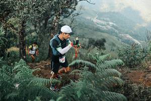 BIB: 
                            <button type="button" onclick="openModal(25333582)" class="btn btn-primary btn-sm float-right btn-popup" data-toggle="modal" data-target=".modal-high-quality">
                        <i class="fas fa-shopping-cart"></i> Add to Cart
                    </button>
                                            <button type="button" onclick="isThisMe(25333582, true)" class="btn btn-success btn-sm float-right btn-popup btn-isme hidden" data-toggle="tooltip" data-placement="bottom" title="นี่คือรูปของคุณใช่ไหม คลิกที่นี่เพื่อเอาเข้าอัลบั้ม">
                        <i class="fas fa-plus"></i> Add to album
                    </button>
                    <button type="button" onclick="isThisMe(25333582, false)" class="btn btn-warning btn-sm float-right btn-popup btn-isnotme hidden">
                        <i class="fas fa-ban"></i> Remove from album
                    </button>