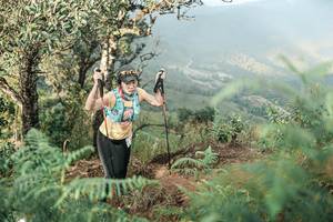 BIB: 
                            <button type="button" onclick="openModal(25334180)" class="btn btn-primary btn-sm float-right btn-popup" data-toggle="modal" data-target=".modal-high-quality">
                        <i class="fas fa-shopping-cart"></i> Add to Cart
                    </button>
                                            <button type="button" onclick="isThisMe(25334180, true)" class="btn btn-success btn-sm float-right btn-popup btn-isme hidden" data-toggle="tooltip" data-placement="bottom" title="นี่คือรูปของคุณใช่ไหม คลิกที่นี่เพื่อเอาเข้าอัลบั้ม">
                        <i class="fas fa-plus"></i> Add to album
                    </button>
                    <button type="button" onclick="isThisMe(25334180, false)" class="btn btn-warning btn-sm float-right btn-popup btn-isnotme hidden">
                        <i class="fas fa-ban"></i> Remove from album
                    </button>