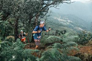 BIB: 
                            <button type="button" onclick="openModal(25333889)" class="btn btn-primary btn-sm float-right btn-popup" data-toggle="modal" data-target=".modal-high-quality">
                        <i class="fas fa-shopping-cart"></i> Add to Cart
                    </button>
                                            <button type="button" onclick="isThisMe(25333889, true)" class="btn btn-success btn-sm float-right btn-popup btn-isme hidden" data-toggle="tooltip" data-placement="bottom" title="นี่คือรูปของคุณใช่ไหม คลิกที่นี่เพื่อเอาเข้าอัลบั้ม">
                        <i class="fas fa-plus"></i> Add to album
                    </button>
                    <button type="button" onclick="isThisMe(25333889, false)" class="btn btn-warning btn-sm float-right btn-popup btn-isnotme hidden">
                        <i class="fas fa-ban"></i> Remove from album
                    </button>