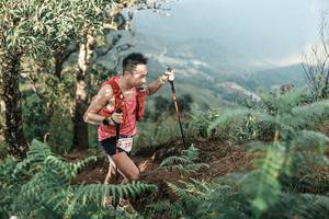 BIB: 
                            <button type="button" onclick="openModal(25334072)" class="btn btn-primary btn-sm float-right btn-popup" data-toggle="modal" data-target=".modal-high-quality">
                        <i class="fas fa-shopping-cart"></i> Add to Cart
                    </button>
                                            <button type="button" onclick="isThisMe(25334072, true)" class="btn btn-success btn-sm float-right btn-popup btn-isme hidden" data-toggle="tooltip" data-placement="bottom" title="นี่คือรูปของคุณใช่ไหม คลิกที่นี่เพื่อเอาเข้าอัลบั้ม">
                        <i class="fas fa-plus"></i> Add to album
                    </button>
                    <button type="button" onclick="isThisMe(25334072, false)" class="btn btn-warning btn-sm float-right btn-popup btn-isnotme hidden">
                        <i class="fas fa-ban"></i> Remove from album
                    </button>