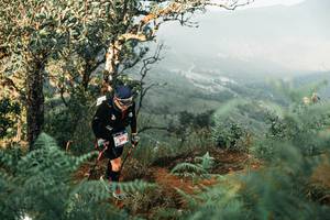 BIB: 
                            <button type="button" onclick="openModal(25334429)" class="btn btn-primary btn-sm float-right btn-popup" data-toggle="modal" data-target=".modal-high-quality">
                        <i class="fas fa-shopping-cart"></i> Add to Cart
                    </button>
                                            <button type="button" onclick="isThisMe(25334429, true)" class="btn btn-success btn-sm float-right btn-popup btn-isme hidden" data-toggle="tooltip" data-placement="bottom" title="นี่คือรูปของคุณใช่ไหม คลิกที่นี่เพื่อเอาเข้าอัลบั้ม">
                        <i class="fas fa-plus"></i> Add to album
                    </button>
                    <button type="button" onclick="isThisMe(25334429, false)" class="btn btn-warning btn-sm float-right btn-popup btn-isnotme hidden">
                        <i class="fas fa-ban"></i> Remove from album
                    </button>