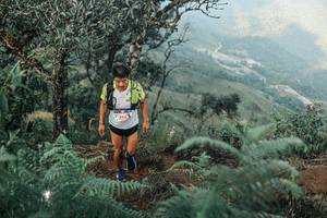 BIB: 
                            <button type="button" onclick="openModal(25333603)" class="btn btn-primary btn-sm float-right btn-popup" data-toggle="modal" data-target=".modal-high-quality">
                        <i class="fas fa-shopping-cart"></i> Add to Cart
                    </button>
                                            <button type="button" onclick="isThisMe(25333603, true)" class="btn btn-success btn-sm float-right btn-popup btn-isme hidden" data-toggle="tooltip" data-placement="bottom" title="นี่คือรูปของคุณใช่ไหม คลิกที่นี่เพื่อเอาเข้าอัลบั้ม">
                        <i class="fas fa-plus"></i> Add to album
                    </button>
                    <button type="button" onclick="isThisMe(25333603, false)" class="btn btn-warning btn-sm float-right btn-popup btn-isnotme hidden">
                        <i class="fas fa-ban"></i> Remove from album
                    </button>