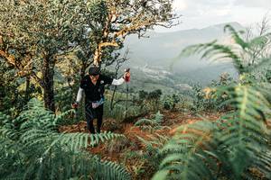 BIB: 
                            <button type="button" onclick="openModal(25334534)" class="btn btn-primary btn-sm float-right btn-popup" data-toggle="modal" data-target=".modal-high-quality">
                        <i class="fas fa-shopping-cart"></i> Add to Cart
                    </button>
                                            <button type="button" onclick="isThisMe(25334534, true)" class="btn btn-success btn-sm float-right btn-popup btn-isme hidden" data-toggle="tooltip" data-placement="bottom" title="นี่คือรูปของคุณใช่ไหม คลิกที่นี่เพื่อเอาเข้าอัลบั้ม">
                        <i class="fas fa-plus"></i> Add to album
                    </button>
                    <button type="button" onclick="isThisMe(25334534, false)" class="btn btn-warning btn-sm float-right btn-popup btn-isnotme hidden">
                        <i class="fas fa-ban"></i> Remove from album
                    </button>