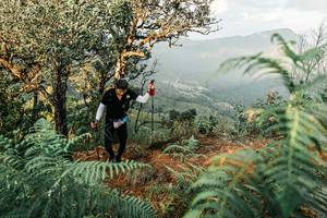 BIB: 
                            <button type="button" onclick="openModal(25334530)" class="btn btn-primary btn-sm float-right btn-popup" data-toggle="modal" data-target=".modal-high-quality">
                        <i class="fas fa-shopping-cart"></i> Add to Cart
                    </button>
                                            <button type="button" onclick="isThisMe(25334530, true)" class="btn btn-success btn-sm float-right btn-popup btn-isme hidden" data-toggle="tooltip" data-placement="bottom" title="นี่คือรูปของคุณใช่ไหม คลิกที่นี่เพื่อเอาเข้าอัลบั้ม">
                        <i class="fas fa-plus"></i> Add to album
                    </button>
                    <button type="button" onclick="isThisMe(25334530, false)" class="btn btn-warning btn-sm float-right btn-popup btn-isnotme hidden">
                        <i class="fas fa-ban"></i> Remove from album
                    </button>