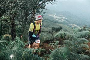 BIB: 
                            <button type="button" onclick="openModal(25333941)" class="btn btn-primary btn-sm float-right btn-popup" data-toggle="modal" data-target=".modal-high-quality">
                        <i class="fas fa-shopping-cart"></i> Add to Cart
                    </button>
                                            <button type="button" onclick="isThisMe(25333941, true)" class="btn btn-success btn-sm float-right btn-popup btn-isme hidden" data-toggle="tooltip" data-placement="bottom" title="นี่คือรูปของคุณใช่ไหม คลิกที่นี่เพื่อเอาเข้าอัลบั้ม">
                        <i class="fas fa-plus"></i> Add to album
                    </button>
                    <button type="button" onclick="isThisMe(25333941, false)" class="btn btn-warning btn-sm float-right btn-popup btn-isnotme hidden">
                        <i class="fas fa-ban"></i> Remove from album
                    </button>