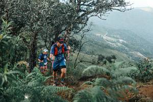 BIB: 
                            <button type="button" onclick="openModal(25333871)" class="btn btn-primary btn-sm float-right btn-popup" data-toggle="modal" data-target=".modal-high-quality">
                        <i class="fas fa-shopping-cart"></i> Add to Cart
                    </button>
                                            <button type="button" onclick="isThisMe(25333871, true)" class="btn btn-success btn-sm float-right btn-popup btn-isme hidden" data-toggle="tooltip" data-placement="bottom" title="นี่คือรูปของคุณใช่ไหม คลิกที่นี่เพื่อเอาเข้าอัลบั้ม">
                        <i class="fas fa-plus"></i> Add to album
                    </button>
                    <button type="button" onclick="isThisMe(25333871, false)" class="btn btn-warning btn-sm float-right btn-popup btn-isnotme hidden">
                        <i class="fas fa-ban"></i> Remove from album
                    </button>