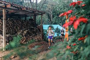 BIB: 
                            <button type="button" onclick="openModal(25286409)" class="btn btn-primary btn-sm float-right btn-popup" data-toggle="modal" data-target=".modal-high-quality">
                        <i class="fas fa-shopping-cart"></i> Add to Cart
                    </button>
                                            <button type="button" onclick="isThisMe(25286409, true)" class="btn btn-success btn-sm float-right btn-popup btn-isme hidden" data-toggle="tooltip" data-placement="bottom" title="นี่คือรูปของคุณใช่ไหม คลิกที่นี่เพื่อเอาเข้าอัลบั้ม">
                        <i class="fas fa-plus"></i> Add to album
                    </button>
                    <button type="button" onclick="isThisMe(25286409, false)" class="btn btn-warning btn-sm float-right btn-popup btn-isnotme hidden">
                        <i class="fas fa-ban"></i> Remove from album
                    </button>