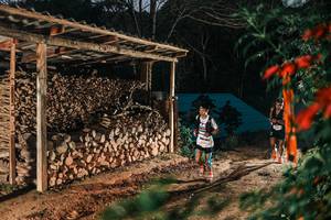 BIB: 
                            <button type="button" onclick="openModal(25286284)" class="btn btn-primary btn-sm float-right btn-popup" data-toggle="modal" data-target=".modal-high-quality">
                        <i class="fas fa-shopping-cart"></i> Add to Cart
                    </button>
                                            <button type="button" onclick="isThisMe(25286284, true)" class="btn btn-success btn-sm float-right btn-popup btn-isme hidden" data-toggle="tooltip" data-placement="bottom" title="นี่คือรูปของคุณใช่ไหม คลิกที่นี่เพื่อเอาเข้าอัลบั้ม">
                        <i class="fas fa-plus"></i> Add to album
                    </button>
                    <button type="button" onclick="isThisMe(25286284, false)" class="btn btn-warning btn-sm float-right btn-popup btn-isnotme hidden">
                        <i class="fas fa-ban"></i> Remove from album
                    </button>