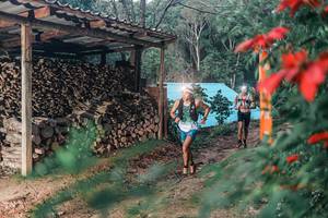 BIB: 
                            <button type="button" onclick="openModal(25286379)" class="btn btn-primary btn-sm float-right btn-popup" data-toggle="modal" data-target=".modal-high-quality">
                        <i class="fas fa-shopping-cart"></i> Add to Cart
                    </button>
                                            <button type="button" onclick="isThisMe(25286379, true)" class="btn btn-success btn-sm float-right btn-popup btn-isme hidden" data-toggle="tooltip" data-placement="bottom" title="นี่คือรูปของคุณใช่ไหม คลิกที่นี่เพื่อเอาเข้าอัลบั้ม">
                        <i class="fas fa-plus"></i> Add to album
                    </button>
                    <button type="button" onclick="isThisMe(25286379, false)" class="btn btn-warning btn-sm float-right btn-popup btn-isnotme hidden">
                        <i class="fas fa-ban"></i> Remove from album
                    </button>