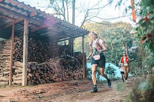 BIB: 
                            <button type="button" onclick="openModal(25287667)" class="btn btn-primary btn-sm float-right btn-popup" data-toggle="modal" data-target=".modal-high-quality">
                        <i class="fas fa-shopping-cart"></i> Add to Cart
                    </button>
                                            <button type="button" onclick="isThisMe(25287667, true)" class="btn btn-success btn-sm float-right btn-popup btn-isme hidden" data-toggle="tooltip" data-placement="bottom" title="นี่คือรูปของคุณใช่ไหม คลิกที่นี่เพื่อเอาเข้าอัลบั้ม">
                        <i class="fas fa-plus"></i> Add to album
                    </button>
                    <button type="button" onclick="isThisMe(25287667, false)" class="btn btn-warning btn-sm float-right btn-popup btn-isnotme hidden">
                        <i class="fas fa-ban"></i> Remove from album
                    </button>