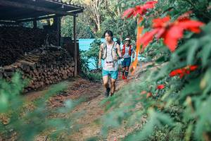 BIB: 
                            <button type="button" onclick="openModal(25291271)" class="btn btn-primary btn-sm float-right btn-popup" data-toggle="modal" data-target=".modal-high-quality">
                        <i class="fas fa-shopping-cart"></i> Add to Cart
                    </button>
                                            <button type="button" onclick="isThisMe(25291271, true)" class="btn btn-success btn-sm float-right btn-popup btn-isme hidden" data-toggle="tooltip" data-placement="bottom" title="นี่คือรูปของคุณใช่ไหม คลิกที่นี่เพื่อเอาเข้าอัลบั้ม">
                        <i class="fas fa-plus"></i> Add to album
                    </button>
                    <button type="button" onclick="isThisMe(25291271, false)" class="btn btn-warning btn-sm float-right btn-popup btn-isnotme hidden">
                        <i class="fas fa-ban"></i> Remove from album
                    </button>