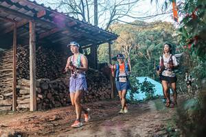 BIB: 
                            <button type="button" onclick="openModal(25289905)" class="btn btn-primary btn-sm float-right btn-popup" data-toggle="modal" data-target=".modal-high-quality">
                        <i class="fas fa-shopping-cart"></i> Add to Cart
                    </button>
                                            <button type="button" onclick="isThisMe(25289905, true)" class="btn btn-success btn-sm float-right btn-popup btn-isme hidden" data-toggle="tooltip" data-placement="bottom" title="นี่คือรูปของคุณใช่ไหม คลิกที่นี่เพื่อเอาเข้าอัลบั้ม">
                        <i class="fas fa-plus"></i> Add to album
                    </button>
                    <button type="button" onclick="isThisMe(25289905, false)" class="btn btn-warning btn-sm float-right btn-popup btn-isnotme hidden">
                        <i class="fas fa-ban"></i> Remove from album
                    </button>