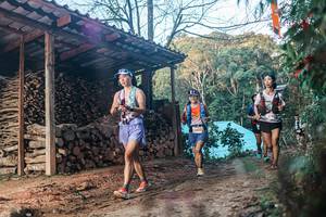 BIB: 
                            <button type="button" onclick="openModal(25289903)" class="btn btn-primary btn-sm float-right btn-popup" data-toggle="modal" data-target=".modal-high-quality">
                        <i class="fas fa-shopping-cart"></i> Add to Cart
                    </button>
                                            <button type="button" onclick="isThisMe(25289903, true)" class="btn btn-success btn-sm float-right btn-popup btn-isme hidden" data-toggle="tooltip" data-placement="bottom" title="นี่คือรูปของคุณใช่ไหม คลิกที่นี่เพื่อเอาเข้าอัลบั้ม">
                        <i class="fas fa-plus"></i> Add to album
                    </button>
                    <button type="button" onclick="isThisMe(25289903, false)" class="btn btn-warning btn-sm float-right btn-popup btn-isnotme hidden">
                        <i class="fas fa-ban"></i> Remove from album
                    </button>