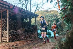 BIB: 
                            <button type="button" onclick="openModal(25290337)" class="btn btn-primary btn-sm float-right btn-popup" data-toggle="modal" data-target=".modal-high-quality">
                        <i class="fas fa-shopping-cart"></i> Add to Cart
                    </button>
                                            <button type="button" onclick="isThisMe(25290337, true)" class="btn btn-success btn-sm float-right btn-popup btn-isme hidden" data-toggle="tooltip" data-placement="bottom" title="นี่คือรูปของคุณใช่ไหม คลิกที่นี่เพื่อเอาเข้าอัลบั้ม">
                        <i class="fas fa-plus"></i> Add to album
                    </button>
                    <button type="button" onclick="isThisMe(25290337, false)" class="btn btn-warning btn-sm float-right btn-popup btn-isnotme hidden">
                        <i class="fas fa-ban"></i> Remove from album
                    </button>