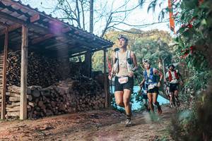 BIB: 
                            <button type="button" onclick="openModal(25290199)" class="btn btn-primary btn-sm float-right btn-popup" data-toggle="modal" data-target=".modal-high-quality">
                        <i class="fas fa-shopping-cart"></i> Add to Cart
                    </button>
                                            <button type="button" onclick="isThisMe(25290199, true)" class="btn btn-success btn-sm float-right btn-popup btn-isme hidden" data-toggle="tooltip" data-placement="bottom" title="นี่คือรูปของคุณใช่ไหม คลิกที่นี่เพื่อเอาเข้าอัลบั้ม">
                        <i class="fas fa-plus"></i> Add to album
                    </button>
                    <button type="button" onclick="isThisMe(25290199, false)" class="btn btn-warning btn-sm float-right btn-popup btn-isnotme hidden">
                        <i class="fas fa-ban"></i> Remove from album
                    </button>