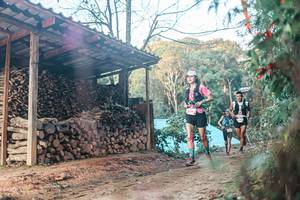 BIB: 
                            <button type="button" onclick="openModal(25289576)" class="btn btn-primary btn-sm float-right btn-popup" data-toggle="modal" data-target=".modal-high-quality">
                        <i class="fas fa-shopping-cart"></i> Add to Cart
                    </button>
                                            <button type="button" onclick="isThisMe(25289576, true)" class="btn btn-success btn-sm float-right btn-popup btn-isme hidden" data-toggle="tooltip" data-placement="bottom" title="นี่คือรูปของคุณใช่ไหม คลิกที่นี่เพื่อเอาเข้าอัลบั้ม">
                        <i class="fas fa-plus"></i> Add to album
                    </button>
                    <button type="button" onclick="isThisMe(25289576, false)" class="btn btn-warning btn-sm float-right btn-popup btn-isnotme hidden">
                        <i class="fas fa-ban"></i> Remove from album
                    </button>