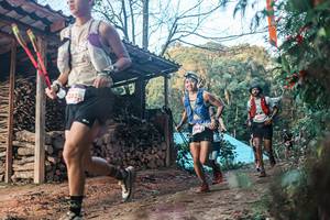 BIB: 
                            <button type="button" onclick="openModal(25290200)" class="btn btn-primary btn-sm float-right btn-popup" data-toggle="modal" data-target=".modal-high-quality">
                        <i class="fas fa-shopping-cart"></i> Add to Cart
                    </button>
                                            <button type="button" onclick="isThisMe(25290200, true)" class="btn btn-success btn-sm float-right btn-popup btn-isme hidden" data-toggle="tooltip" data-placement="bottom" title="นี่คือรูปของคุณใช่ไหม คลิกที่นี่เพื่อเอาเข้าอัลบั้ม">
                        <i class="fas fa-plus"></i> Add to album
                    </button>
                    <button type="button" onclick="isThisMe(25290200, false)" class="btn btn-warning btn-sm float-right btn-popup btn-isnotme hidden">
                        <i class="fas fa-ban"></i> Remove from album
                    </button>