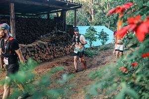 BIB: 
                            <button type="button" onclick="openModal(25291265)" class="btn btn-primary btn-sm float-right btn-popup" data-toggle="modal" data-target=".modal-high-quality">
                        <i class="fas fa-shopping-cart"></i> Add to Cart
                    </button>
                                            <button type="button" onclick="isThisMe(25291265, true)" class="btn btn-success btn-sm float-right btn-popup btn-isme hidden" data-toggle="tooltip" data-placement="bottom" title="นี่คือรูปของคุณใช่ไหม คลิกที่นี่เพื่อเอาเข้าอัลบั้ม">
                        <i class="fas fa-plus"></i> Add to album
                    </button>
                    <button type="button" onclick="isThisMe(25291265, false)" class="btn btn-warning btn-sm float-right btn-popup btn-isnotme hidden">
                        <i class="fas fa-ban"></i> Remove from album
                    </button>