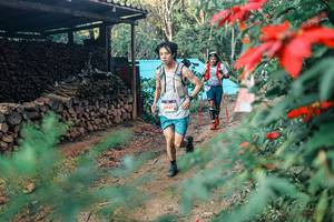 BIB: 
                            <button type="button" onclick="openModal(25291274)" class="btn btn-primary btn-sm float-right btn-popup" data-toggle="modal" data-target=".modal-high-quality">
                        <i class="fas fa-shopping-cart"></i> Add to Cart
                    </button>
                                            <button type="button" onclick="isThisMe(25291274, true)" class="btn btn-success btn-sm float-right btn-popup btn-isme hidden" data-toggle="tooltip" data-placement="bottom" title="นี่คือรูปของคุณใช่ไหม คลิกที่นี่เพื่อเอาเข้าอัลบั้ม">
                        <i class="fas fa-plus"></i> Add to album
                    </button>
                    <button type="button" onclick="isThisMe(25291274, false)" class="btn btn-warning btn-sm float-right btn-popup btn-isnotme hidden">
                        <i class="fas fa-ban"></i> Remove from album
                    </button>