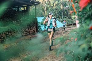 BIB: 
                            <button type="button" onclick="openModal(25291084)" class="btn btn-primary btn-sm float-right btn-popup" data-toggle="modal" data-target=".modal-high-quality">
                        <i class="fas fa-shopping-cart"></i> Add to Cart
                    </button>
                                            <button type="button" onclick="isThisMe(25291084, true)" class="btn btn-success btn-sm float-right btn-popup btn-isme hidden" data-toggle="tooltip" data-placement="bottom" title="นี่คือรูปของคุณใช่ไหม คลิกที่นี่เพื่อเอาเข้าอัลบั้ม">
                        <i class="fas fa-plus"></i> Add to album
                    </button>
                    <button type="button" onclick="isThisMe(25291084, false)" class="btn btn-warning btn-sm float-right btn-popup btn-isnotme hidden">
                        <i class="fas fa-ban"></i> Remove from album
                    </button>