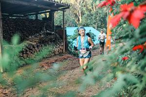 BIB: 
                            <button type="button" onclick="openModal(25291005)" class="btn btn-primary btn-sm float-right btn-popup" data-toggle="modal" data-target=".modal-high-quality">
                        <i class="fas fa-shopping-cart"></i> Add to Cart
                    </button>
                                            <button type="button" onclick="isThisMe(25291005, true)" class="btn btn-success btn-sm float-right btn-popup btn-isme hidden" data-toggle="tooltip" data-placement="bottom" title="นี่คือรูปของคุณใช่ไหม คลิกที่นี่เพื่อเอาเข้าอัลบั้ม">
                        <i class="fas fa-plus"></i> Add to album
                    </button>
                    <button type="button" onclick="isThisMe(25291005, false)" class="btn btn-warning btn-sm float-right btn-popup btn-isnotme hidden">
                        <i class="fas fa-ban"></i> Remove from album
                    </button>