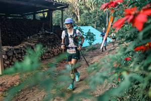 BIB: 
                            <button type="button" onclick="openModal(25291285)" class="btn btn-primary btn-sm float-right btn-popup" data-toggle="modal" data-target=".modal-high-quality">
                        <i class="fas fa-shopping-cart"></i> Add to Cart
                    </button>
                                            <button type="button" onclick="isThisMe(25291285, true)" class="btn btn-success btn-sm float-right btn-popup btn-isme hidden" data-toggle="tooltip" data-placement="bottom" title="นี่คือรูปของคุณใช่ไหม คลิกที่นี่เพื่อเอาเข้าอัลบั้ม">
                        <i class="fas fa-plus"></i> Add to album
                    </button>
                    <button type="button" onclick="isThisMe(25291285, false)" class="btn btn-warning btn-sm float-right btn-popup btn-isnotme hidden">
                        <i class="fas fa-ban"></i> Remove from album
                    </button>