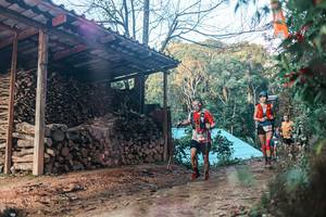 BIB: 
                            <button type="button" onclick="openModal(25290435)" class="btn btn-primary btn-sm float-right btn-popup" data-toggle="modal" data-target=".modal-high-quality">
                        <i class="fas fa-shopping-cart"></i> Add to Cart
                    </button>
                                            <button type="button" onclick="isThisMe(25290435, true)" class="btn btn-success btn-sm float-right btn-popup btn-isme hidden" data-toggle="tooltip" data-placement="bottom" title="นี่คือรูปของคุณใช่ไหม คลิกที่นี่เพื่อเอาเข้าอัลบั้ม">
                        <i class="fas fa-plus"></i> Add to album
                    </button>
                    <button type="button" onclick="isThisMe(25290435, false)" class="btn btn-warning btn-sm float-right btn-popup btn-isnotme hidden">
                        <i class="fas fa-ban"></i> Remove from album
                    </button>