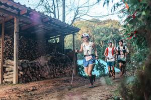 BIB: 
                            <button type="button" onclick="openModal(25290369)" class="btn btn-primary btn-sm float-right btn-popup" data-toggle="modal" data-target=".modal-high-quality">
                        <i class="fas fa-shopping-cart"></i> Add to Cart
                    </button>
                                            <button type="button" onclick="isThisMe(25290369, true)" class="btn btn-success btn-sm float-right btn-popup btn-isme hidden" data-toggle="tooltip" data-placement="bottom" title="นี่คือรูปของคุณใช่ไหม คลิกที่นี่เพื่อเอาเข้าอัลบั้ม">
                        <i class="fas fa-plus"></i> Add to album
                    </button>
                    <button type="button" onclick="isThisMe(25290369, false)" class="btn btn-warning btn-sm float-right btn-popup btn-isnotme hidden">
                        <i class="fas fa-ban"></i> Remove from album
                    </button>