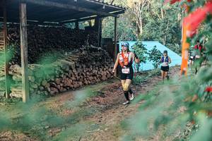 BIB: 
                            <button type="button" onclick="openModal(25290901)" class="btn btn-primary btn-sm float-right btn-popup" data-toggle="modal" data-target=".modal-high-quality">
                        <i class="fas fa-shopping-cart"></i> Add to Cart
                    </button>
                                            <button type="button" onclick="isThisMe(25290901, true)" class="btn btn-success btn-sm float-right btn-popup btn-isme hidden" data-toggle="tooltip" data-placement="bottom" title="นี่คือรูปของคุณใช่ไหม คลิกที่นี่เพื่อเอาเข้าอัลบั้ม">
                        <i class="fas fa-plus"></i> Add to album
                    </button>
                    <button type="button" onclick="isThisMe(25290901, false)" class="btn btn-warning btn-sm float-right btn-popup btn-isnotme hidden">
                        <i class="fas fa-ban"></i> Remove from album
                    </button>