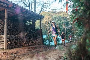 BIB: 
                            <button type="button" onclick="openModal(25290606)" class="btn btn-primary btn-sm float-right btn-popup" data-toggle="modal" data-target=".modal-high-quality">
                        <i class="fas fa-shopping-cart"></i> Add to Cart
                    </button>
                                            <button type="button" onclick="isThisMe(25290606, true)" class="btn btn-success btn-sm float-right btn-popup btn-isme hidden" data-toggle="tooltip" data-placement="bottom" title="นี่คือรูปของคุณใช่ไหม คลิกที่นี่เพื่อเอาเข้าอัลบั้ม">
                        <i class="fas fa-plus"></i> Add to album
                    </button>
                    <button type="button" onclick="isThisMe(25290606, false)" class="btn btn-warning btn-sm float-right btn-popup btn-isnotme hidden">
                        <i class="fas fa-ban"></i> Remove from album
                    </button>