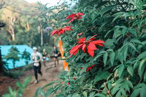 BIB: 
                            <button type="button" onclick="openModal(25291461)" class="btn btn-primary btn-sm float-right btn-popup" data-toggle="modal" data-target=".modal-high-quality">
                        <i class="fas fa-shopping-cart"></i> Add to Cart
                    </button>
                                            <button type="button" onclick="isThisMe(25291461, true)" class="btn btn-success btn-sm float-right btn-popup btn-isme hidden" data-toggle="tooltip" data-placement="bottom" title="นี่คือรูปของคุณใช่ไหม คลิกที่นี่เพื่อเอาเข้าอัลบั้ม">
                        <i class="fas fa-plus"></i> Add to album
                    </button>
                    <button type="button" onclick="isThisMe(25291461, false)" class="btn btn-warning btn-sm float-right btn-popup btn-isnotme hidden">
                        <i class="fas fa-ban"></i> Remove from album
                    </button>